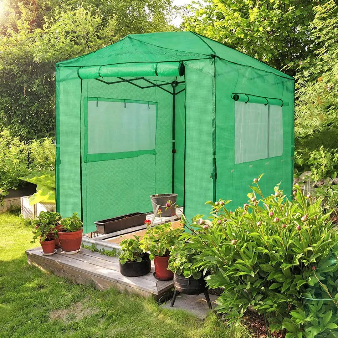 EAGLE PEAK Portable Pop-Up Walk-in Greenhouse