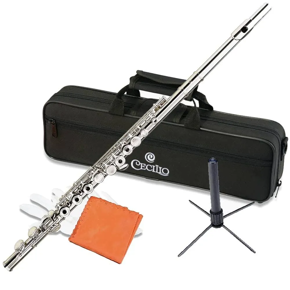 Cecilio High Grade Student C Flute