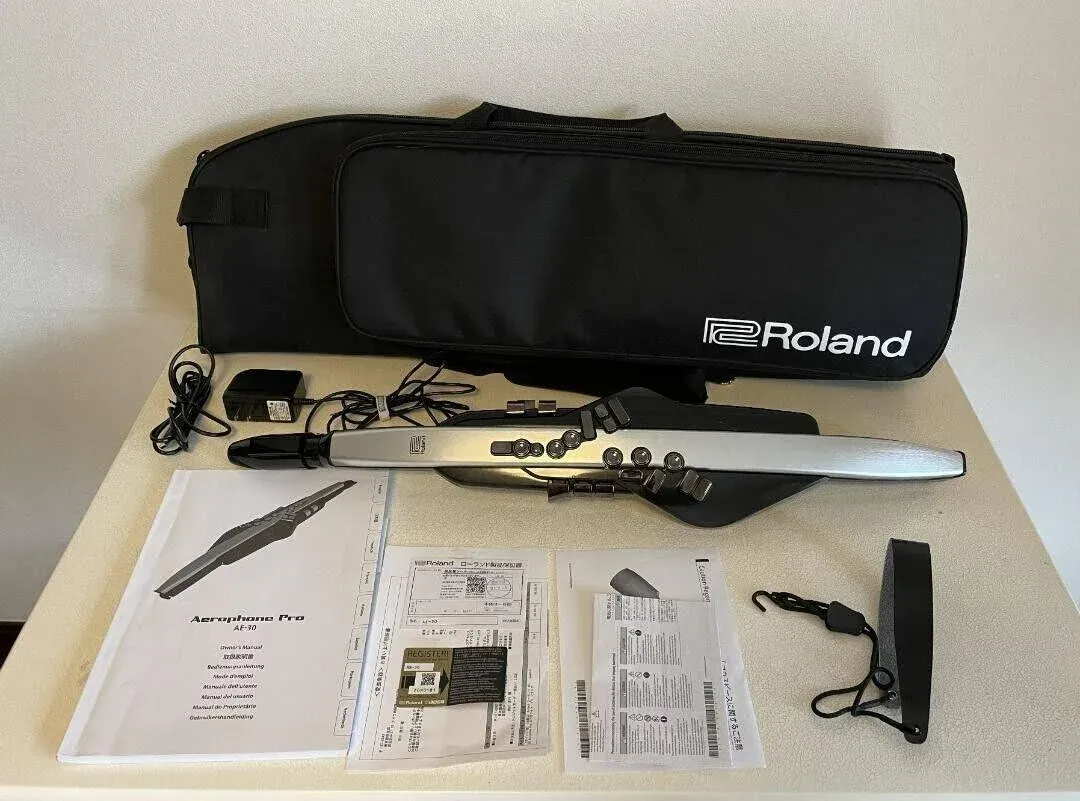 Roland AE-30 Aerophone Pro Digital Wind Instrument