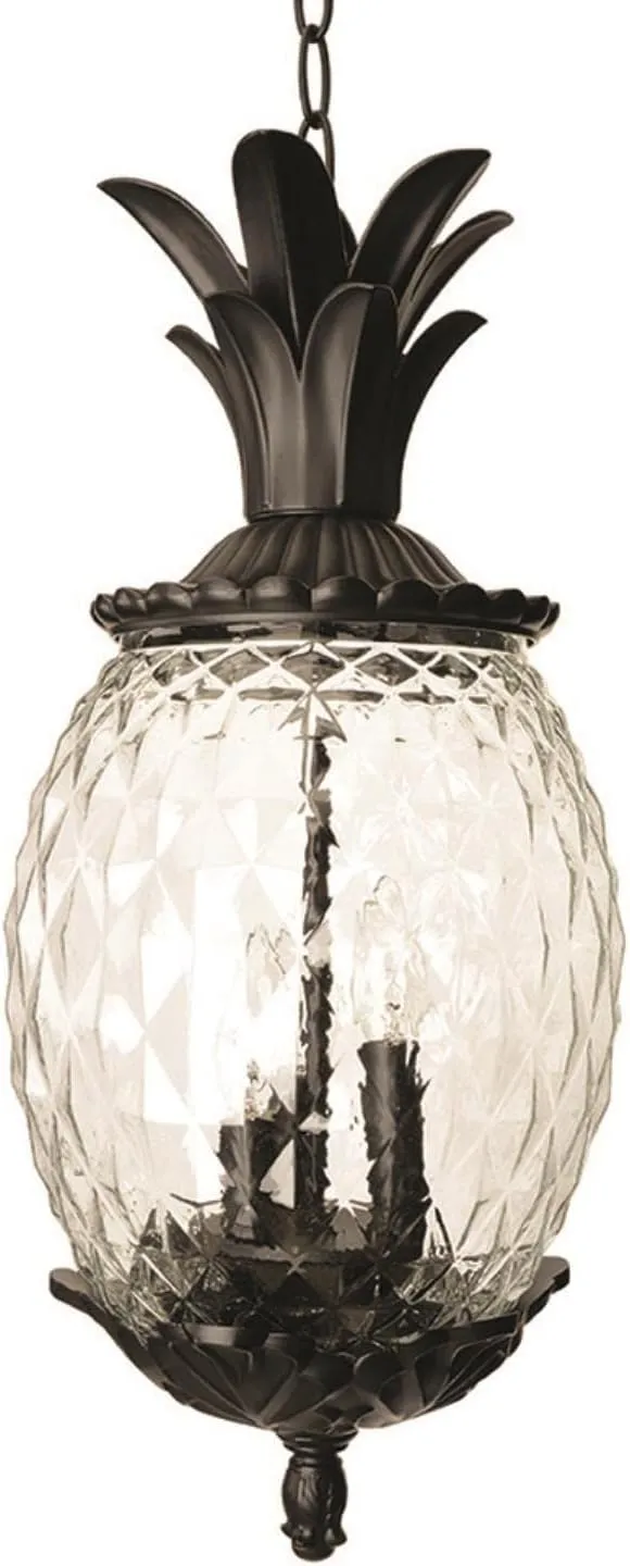 Acclaim Lanai 3-Light Outdoor Hanging Lantern - Matte Black - 7516BK