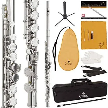 Cecilio Closed Hole C Flute - Musical Instrument, Kids Beginner/Intermediate Flute in Band & Orchestra, Nickel ﻿