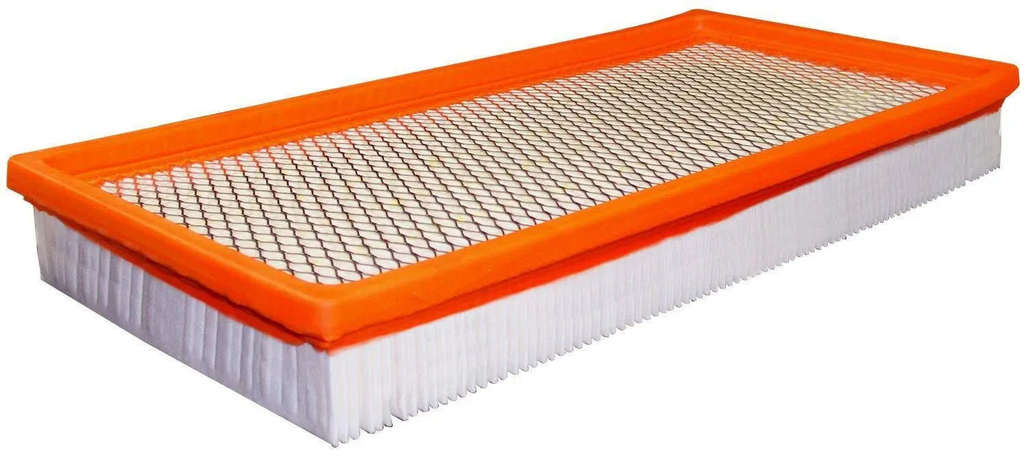 Fram Extra Guard Air Filter - CA3901