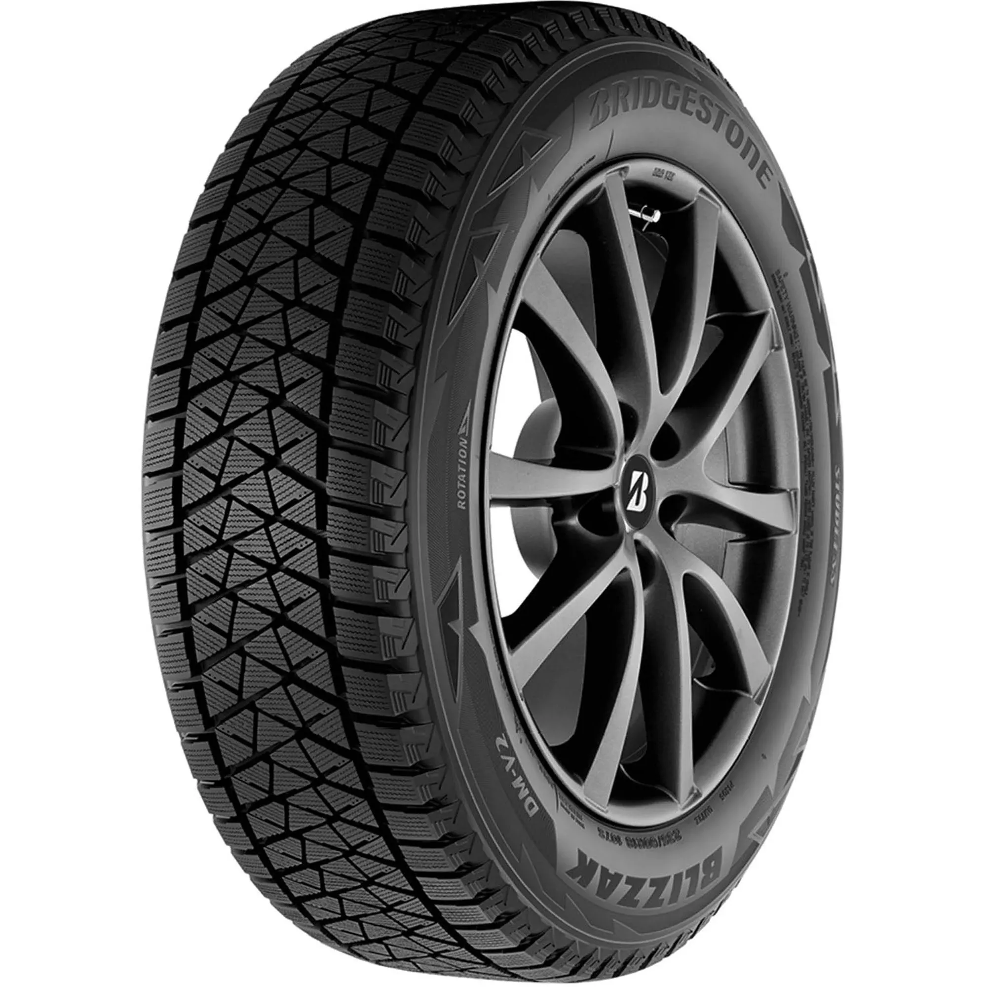 Bridgestone Blizzak DM-V2