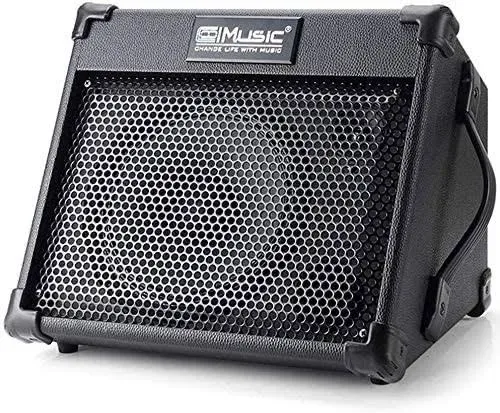 Coolmusic BP40 40W Battery Powered Portable Acoustic Guitar Amplifier