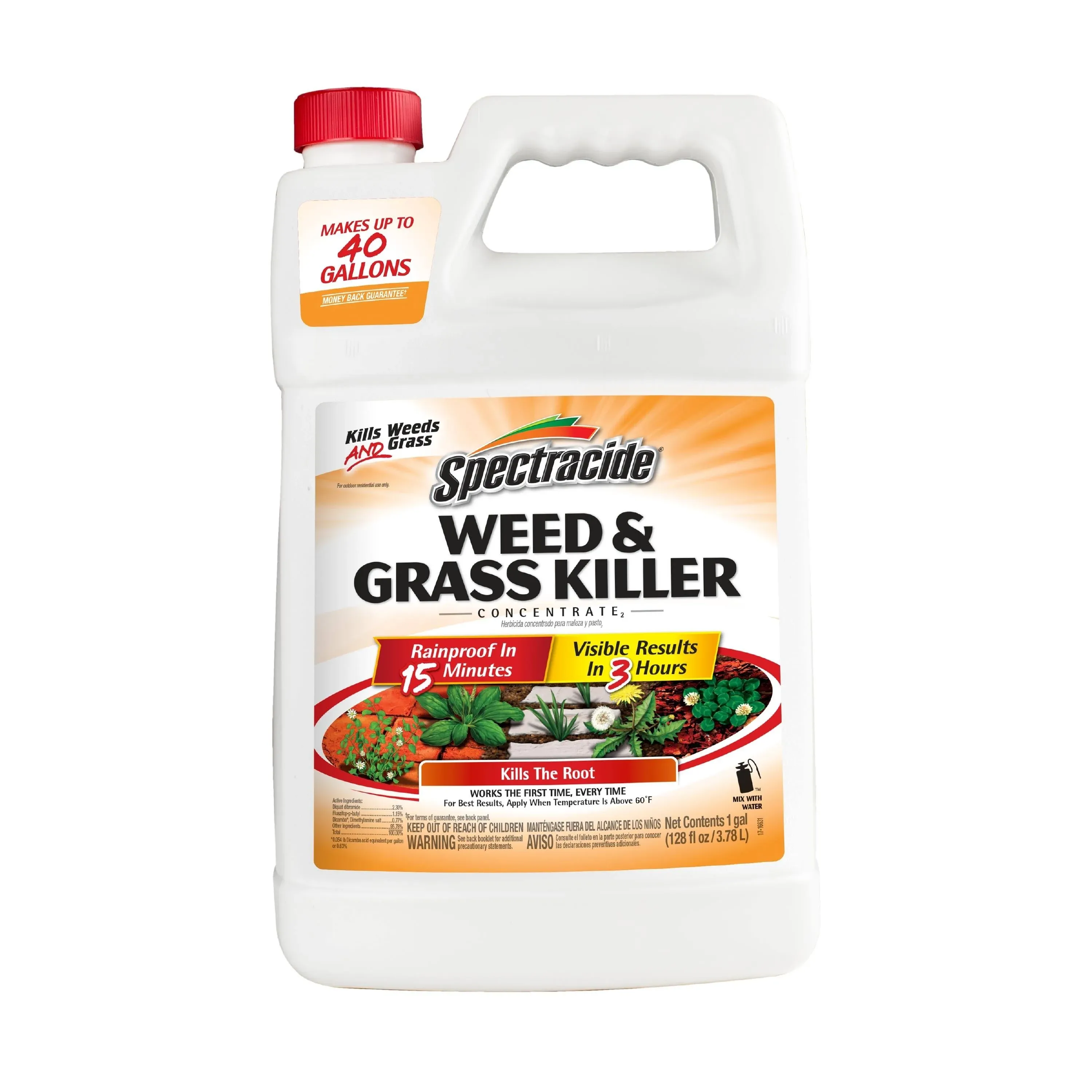 Spectracide 1-Gallon Concentrated Weed and Grass Killer