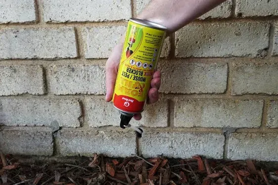 Red Devil Foam & Fill® Mouse & Pest Blocker, 12 oz. Aerosol Can - 0918