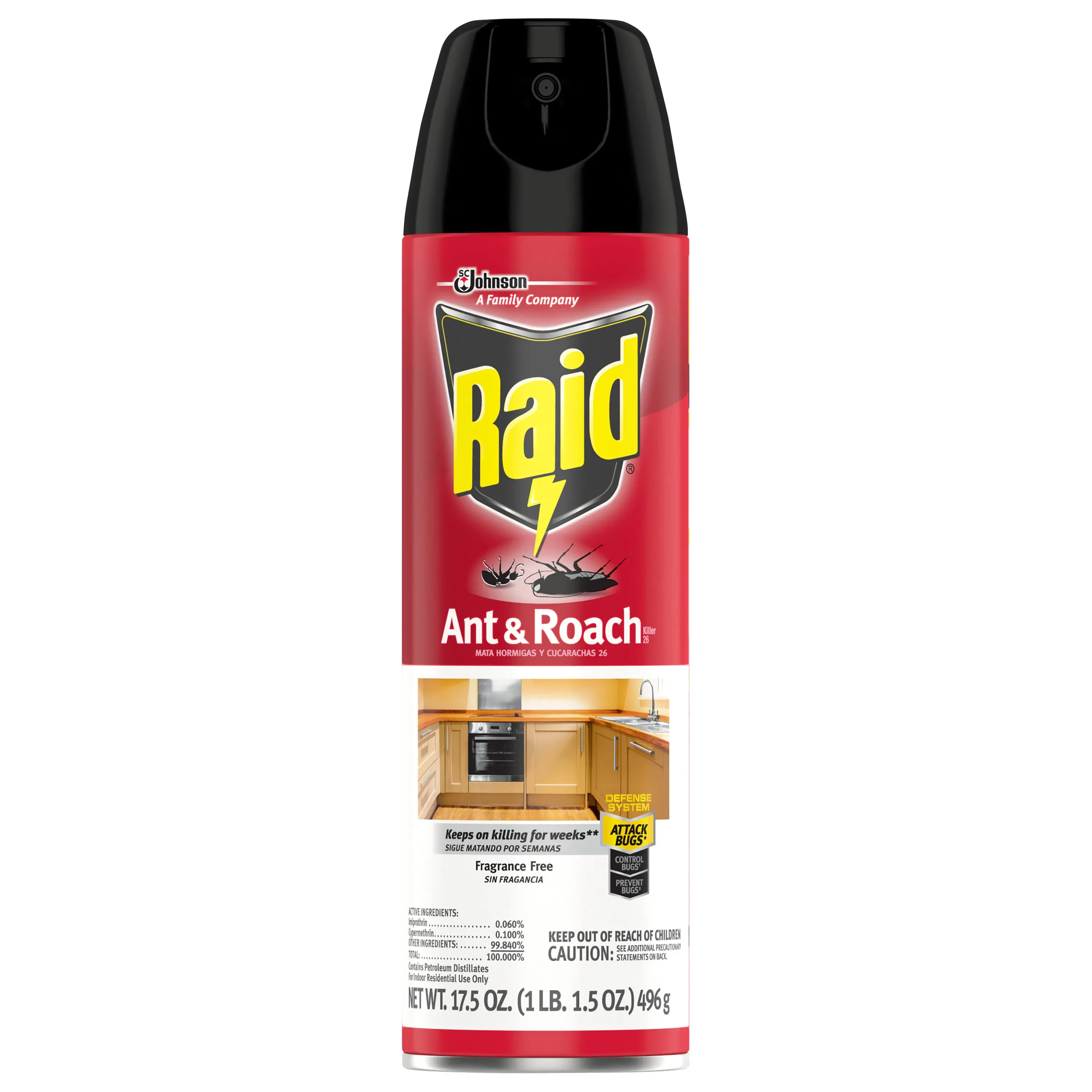 Raid Ant & Roach Killer Fragrance Free 17.5 oz