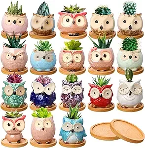 18 Pcs Owl Succulent Plant Pots Mini Planter Owl Planters for Succulents Glaze C