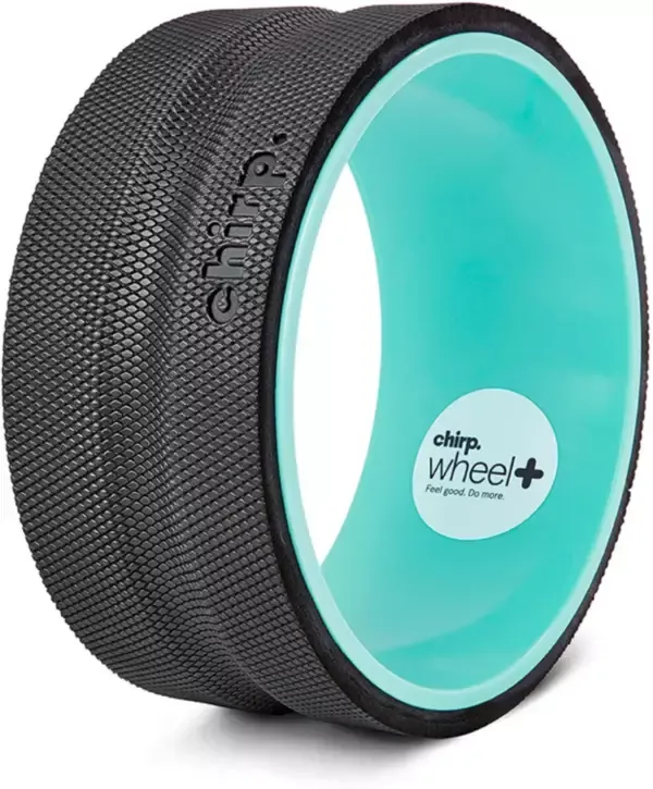 CHIRP - Wheel+ 10" Firm - Mint