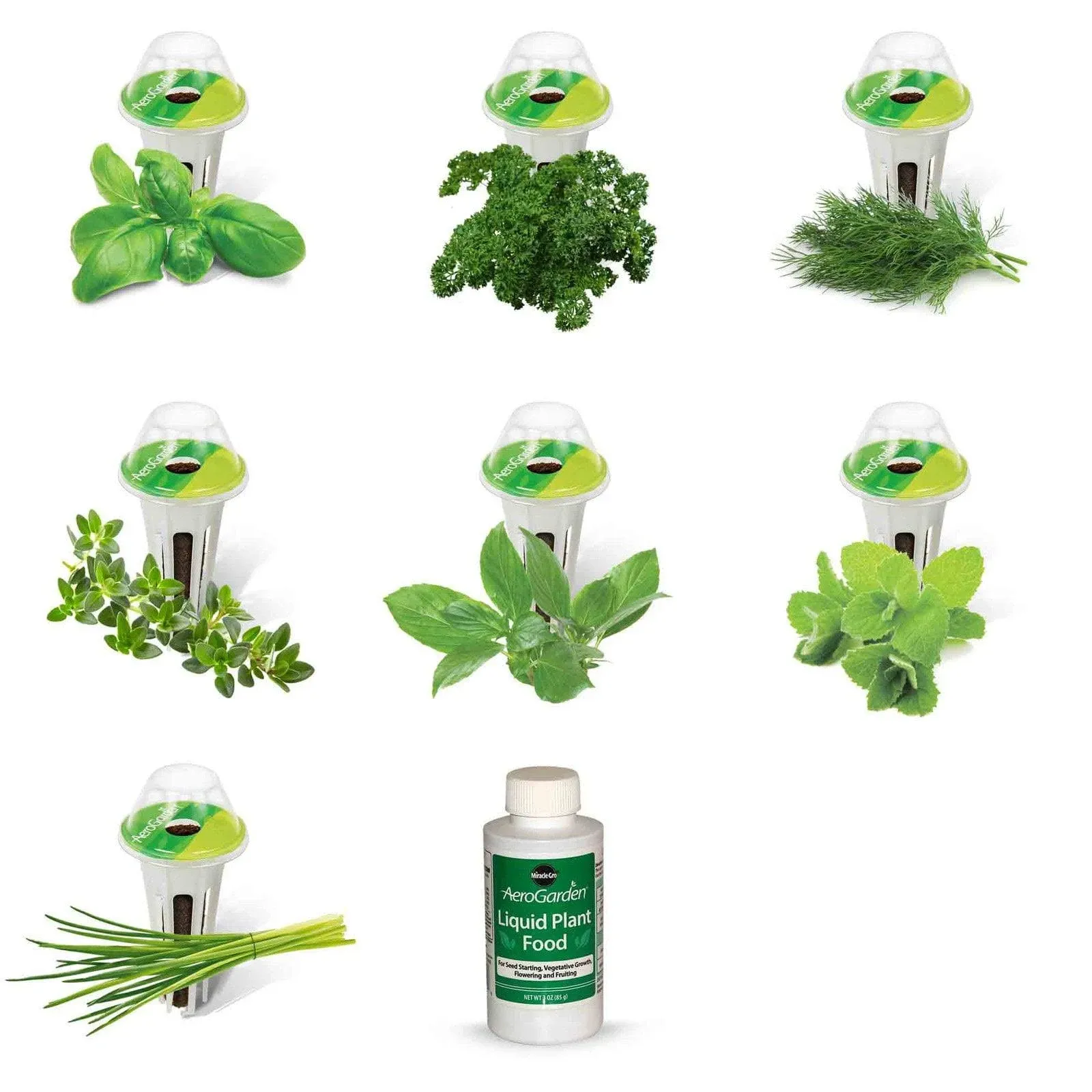 AeroGarden Gourmet Herb Seed Pod kit - 6 count