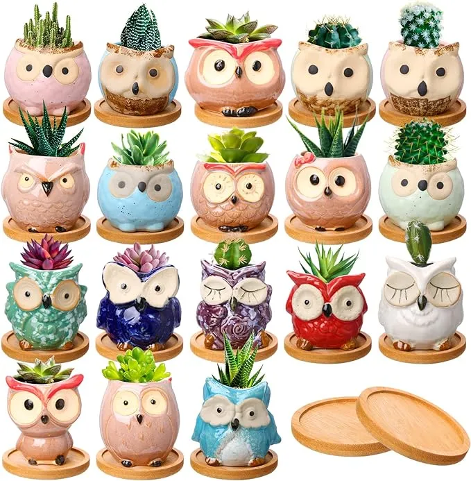 Cindeer 18 Pcs Owl Succulent Plant Pots Mini Planter Owl Planters for Succulents Glaze Cactus Small Plant Pots Garden Pots with Drainage Hole and Bamboo Tray for Home Garden Office Desk Decoration