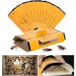 18 Pack Roach Traps Indoor Roach Killer Indoor Infestation, Cockroach Killer Indoor Home Cockroach Trap Sticky Traps for Insects