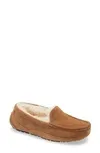 Boy's Ascot Suede Slippers W/ Wool-lining, Kids In Chestnut