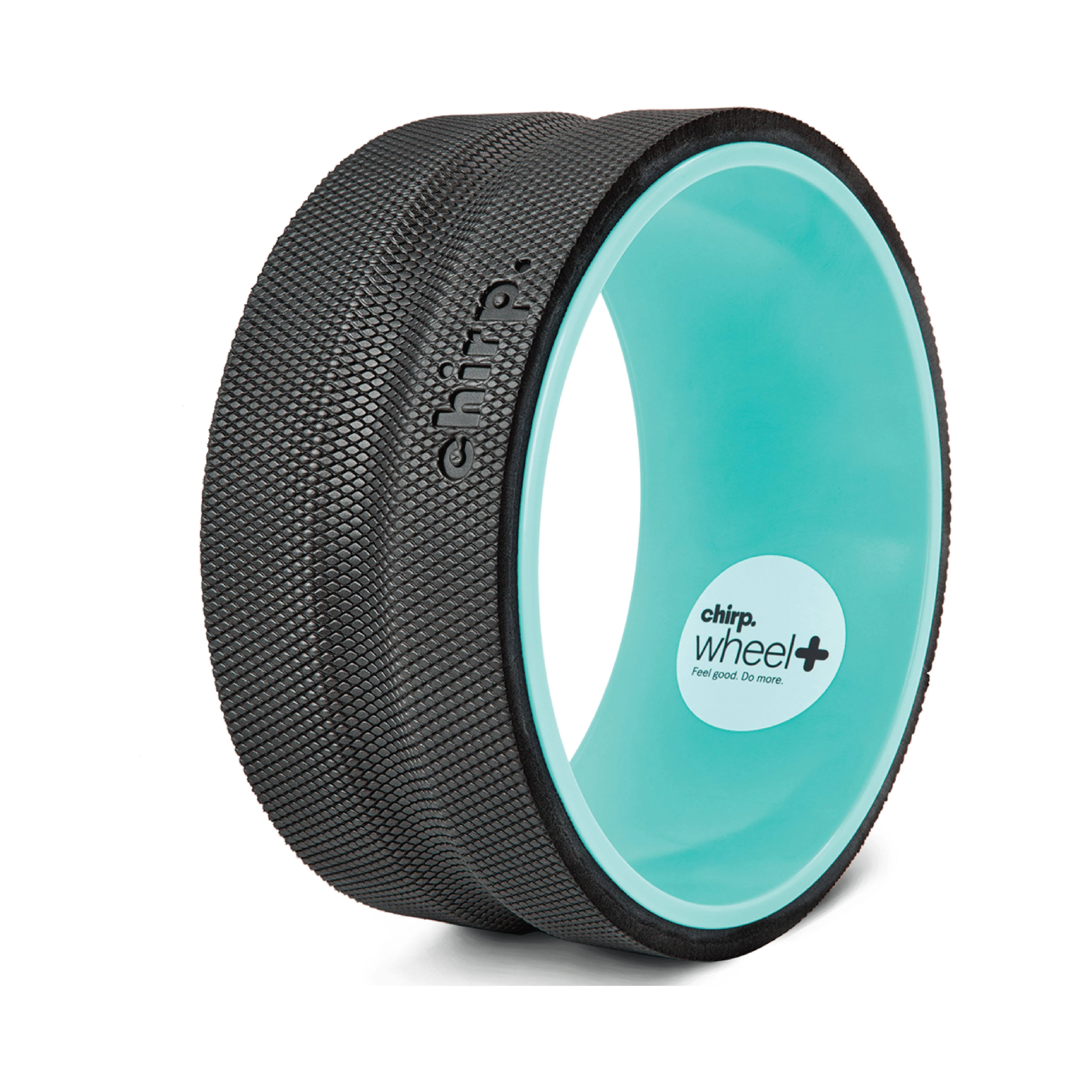 CHIRP 10 inch Wheel Plus