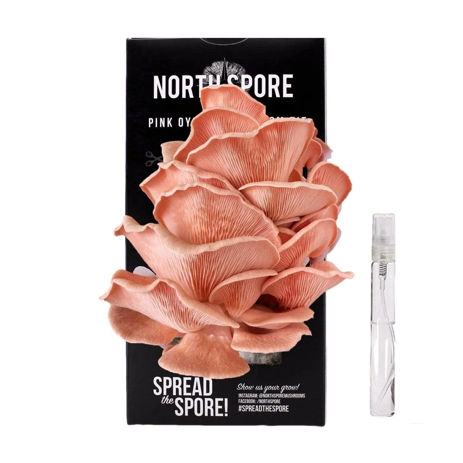 North Spore Organic Pink Oyster Spray & Grow Mushroom Growing Kit