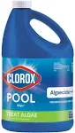 Clorox Pool&Spa Algaecide + Clarifier 1 Gal