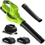 Leaf Blower Cordless - 21V Electric Cordless Leaf Blower with 2 Batteries and Charger, 2 Speed Mode, 2.0Ah Lightweight Battery Powered Leaf Blowers