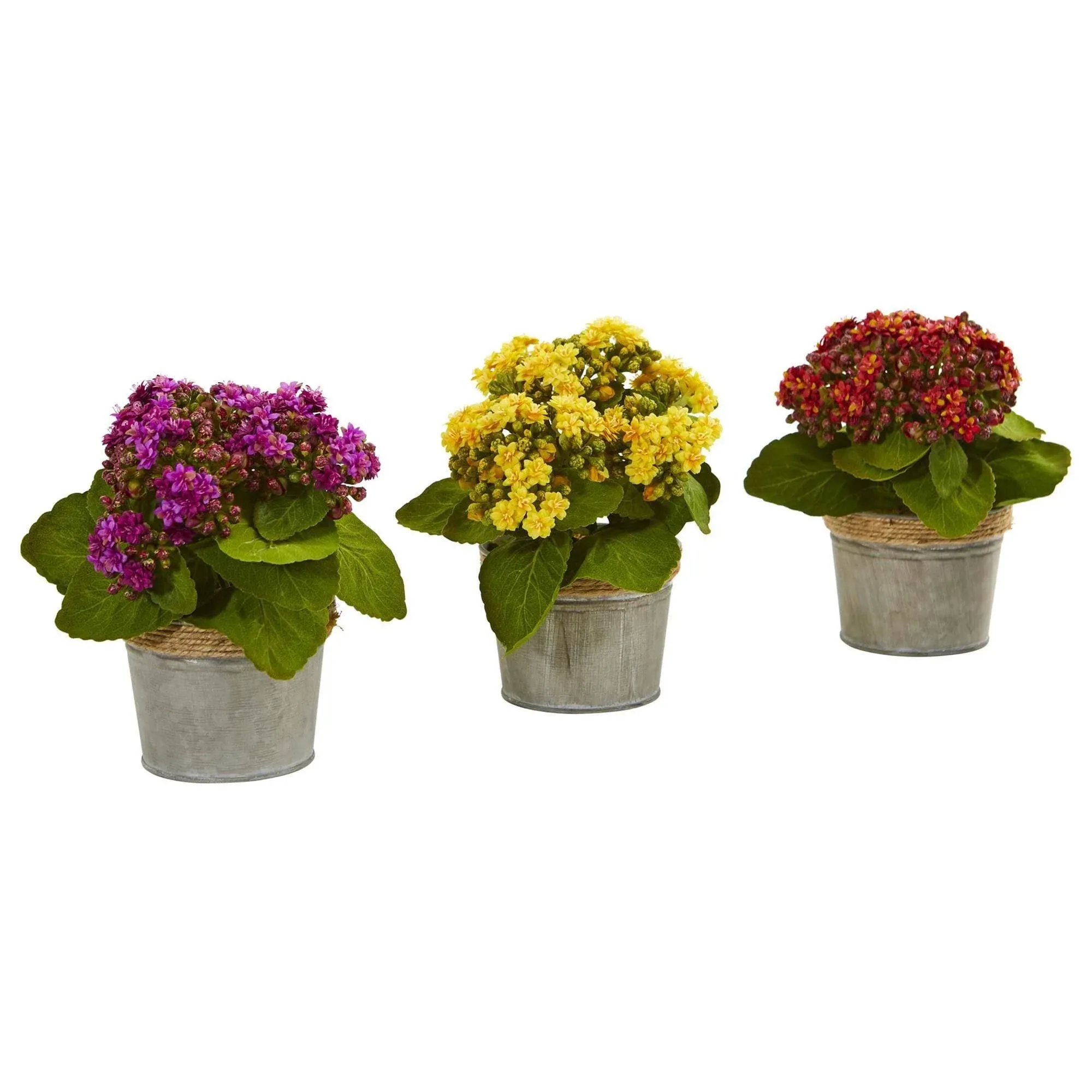 Nearly Natural Kalanchoe Artificial Arrangements (Set of 3)