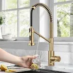 Kraus Bolden 2-in-1 Commercial Style Pull-Down Single Handle Water Filter Kitchen Faucet - Chrome KFF-1610CH