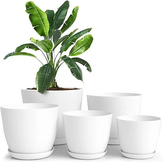 Utopia Home - Plant Pots