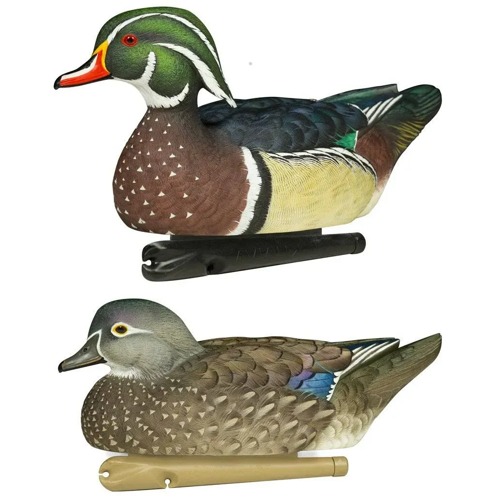 AvianX Top Flight Wood Ducks