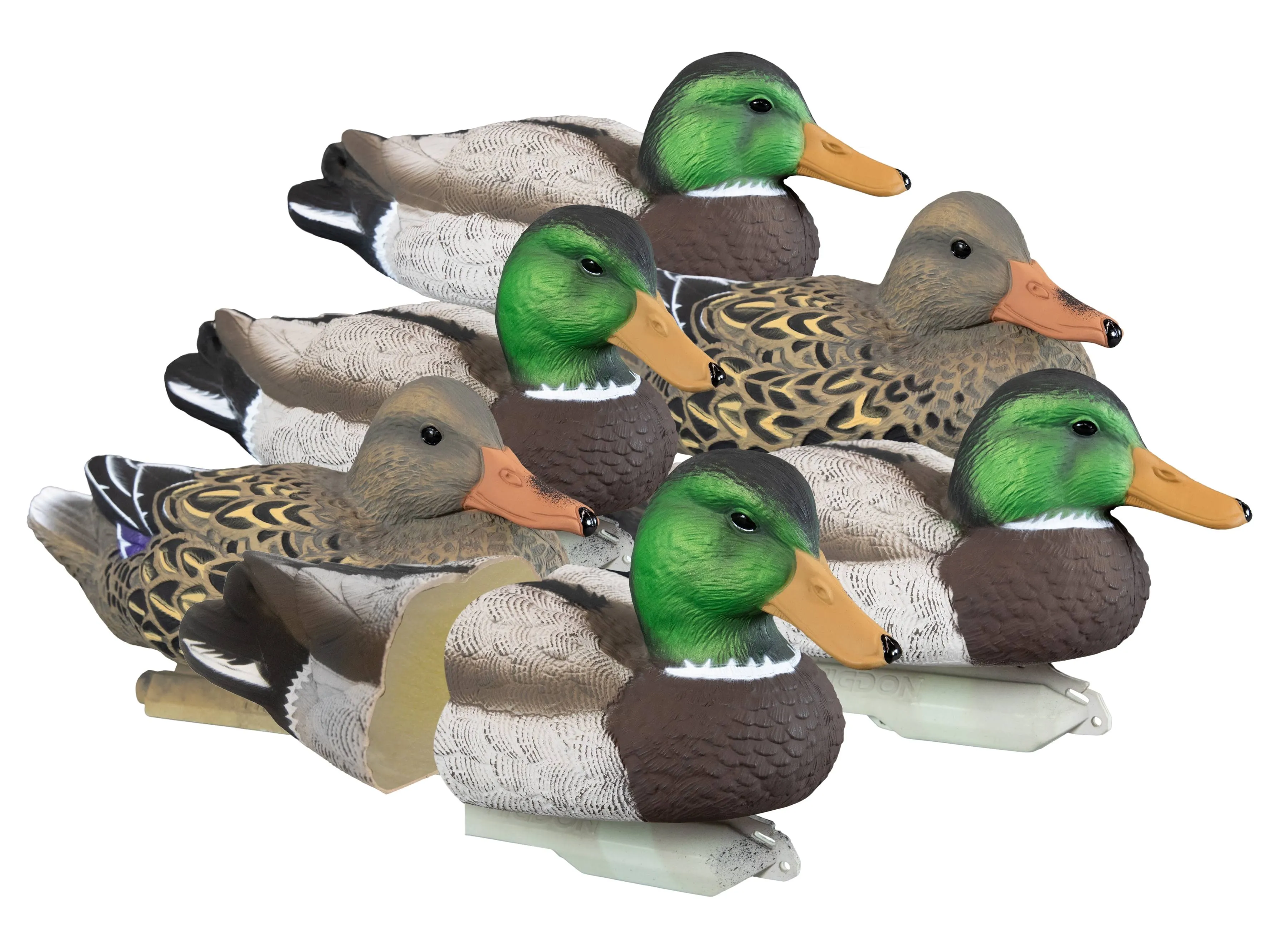 Higdon Outdoors 19023 Standard Mallard Floaters Mallard Species Multi Color Foam Filled 6 Pack