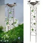 SUNNYPARK Antique Garden Iron Trellis with Decorative Hummingbirds Detachable Bird Bath Bowl Metal Potted Plant Support for CLIM