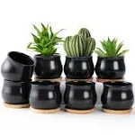 8 Pack Succulent Plant Pot Matte Black Mini 2.6 Inch Ceramic Flower Planter Pot 