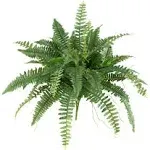 Nearly Natural Boston Fern