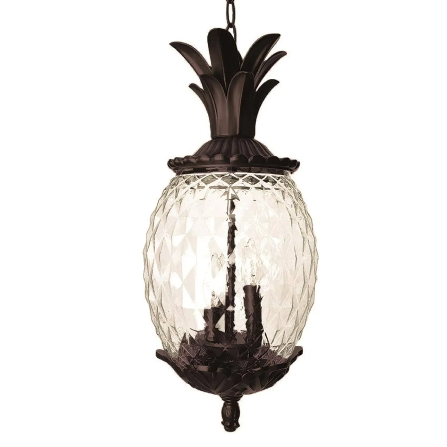 Acclaim Lighting Lanai 3 Light Hanging Light Black Coral 7516BC