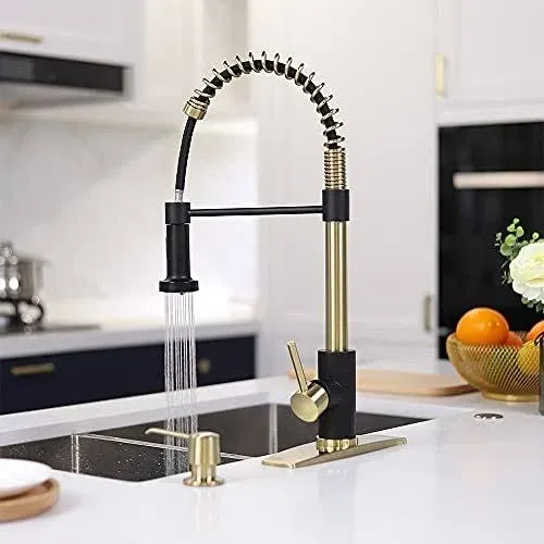 FORIOUS Kitchen Faucet with Pull Down Sprayer