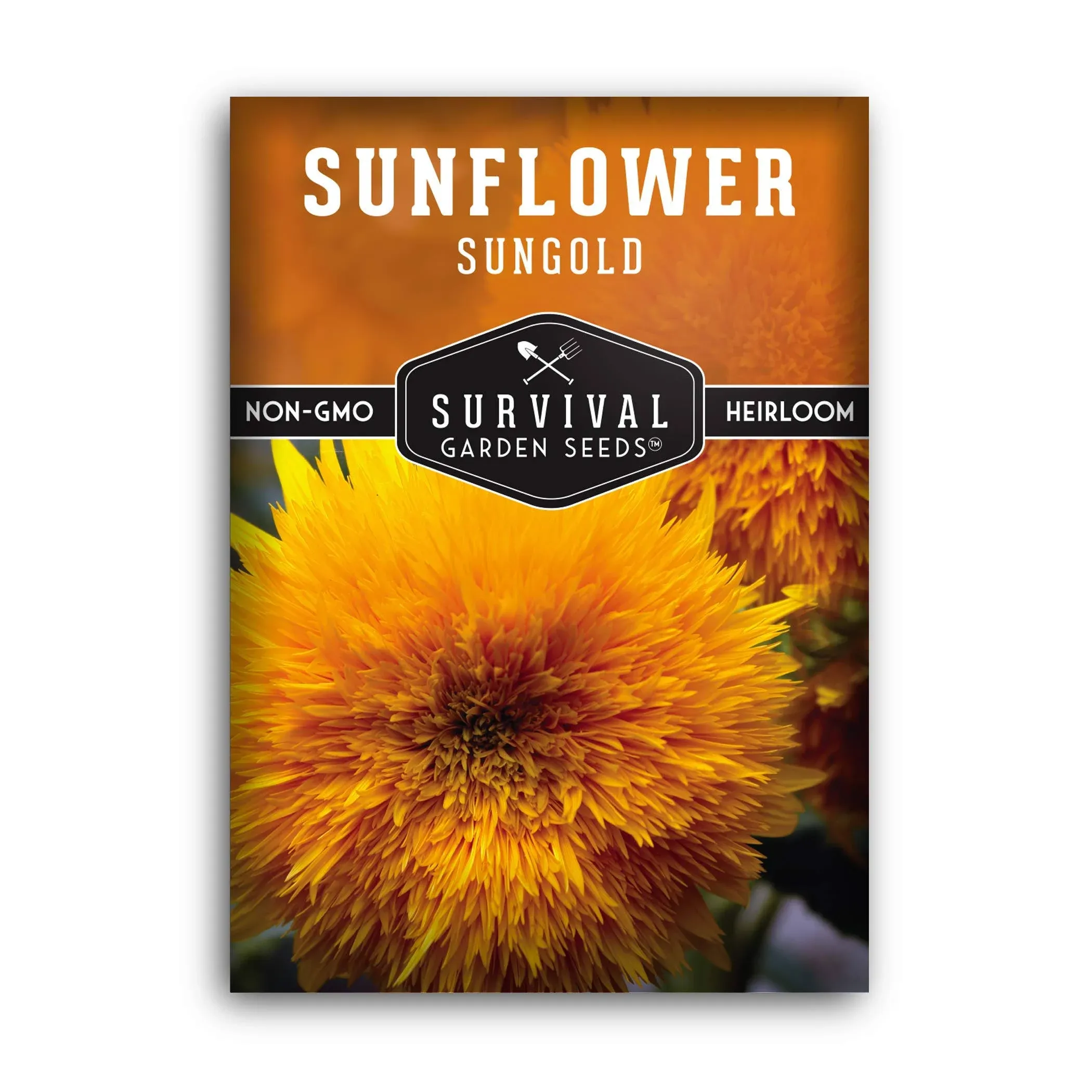 Dwarf Sungold Sunflower Seed