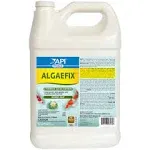 API Pond AlgaeFix Algae Control (1 Gallon)