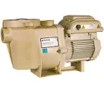 Pentair WhisperFlo VST Variable Speed Pool Pump EC-011533