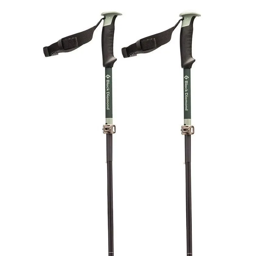 Black Diamond Compactor Ski Poles