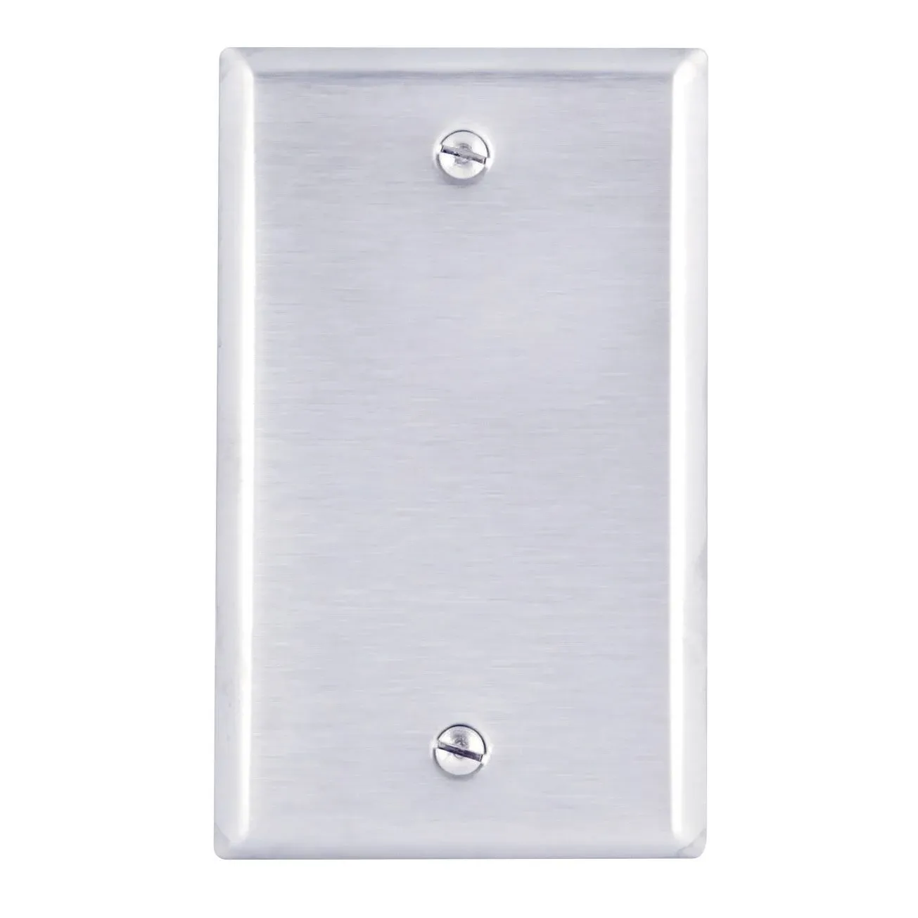 Wallplates Sg W/P Blank Ss