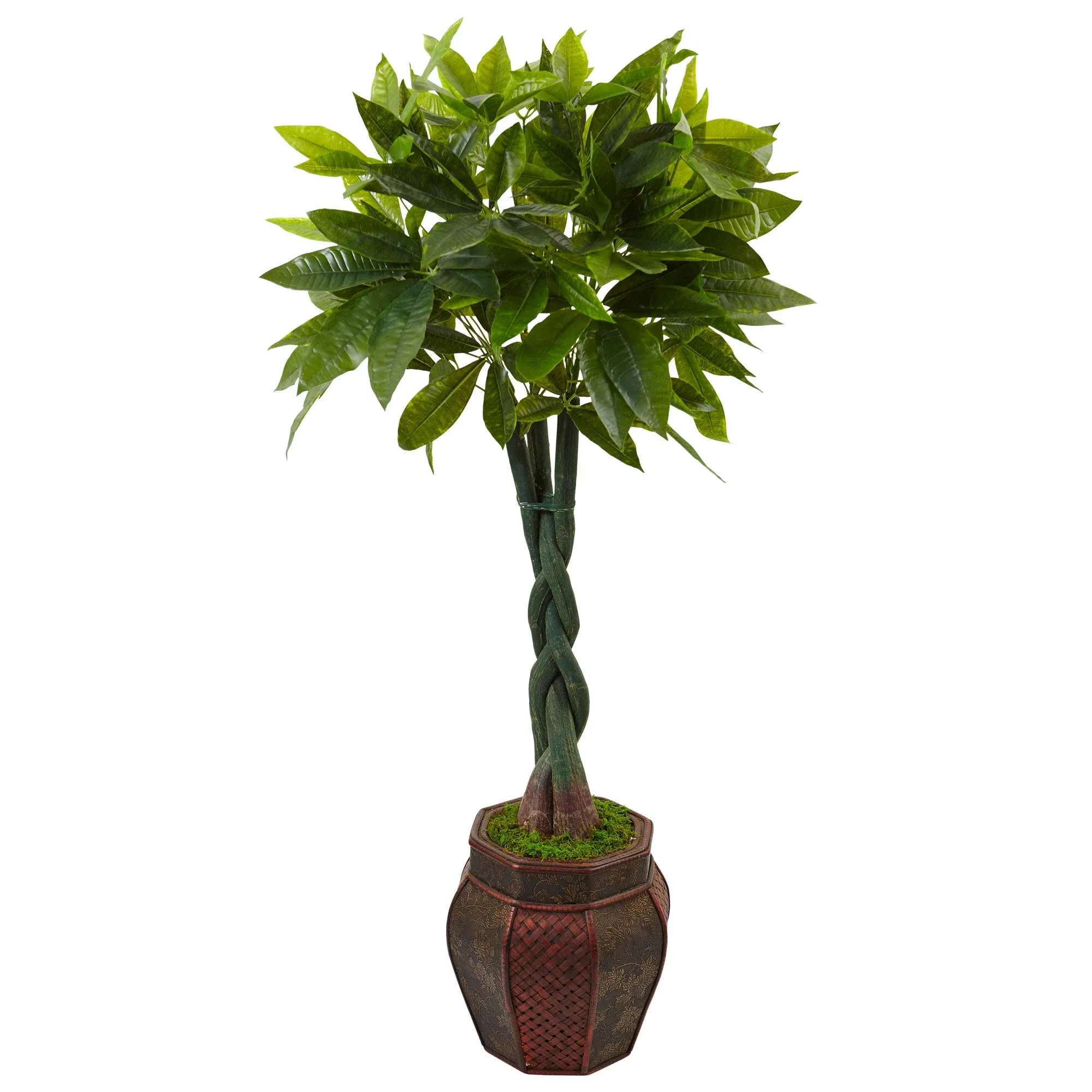 4.5' Money Tree in Planter - Nearly Natural