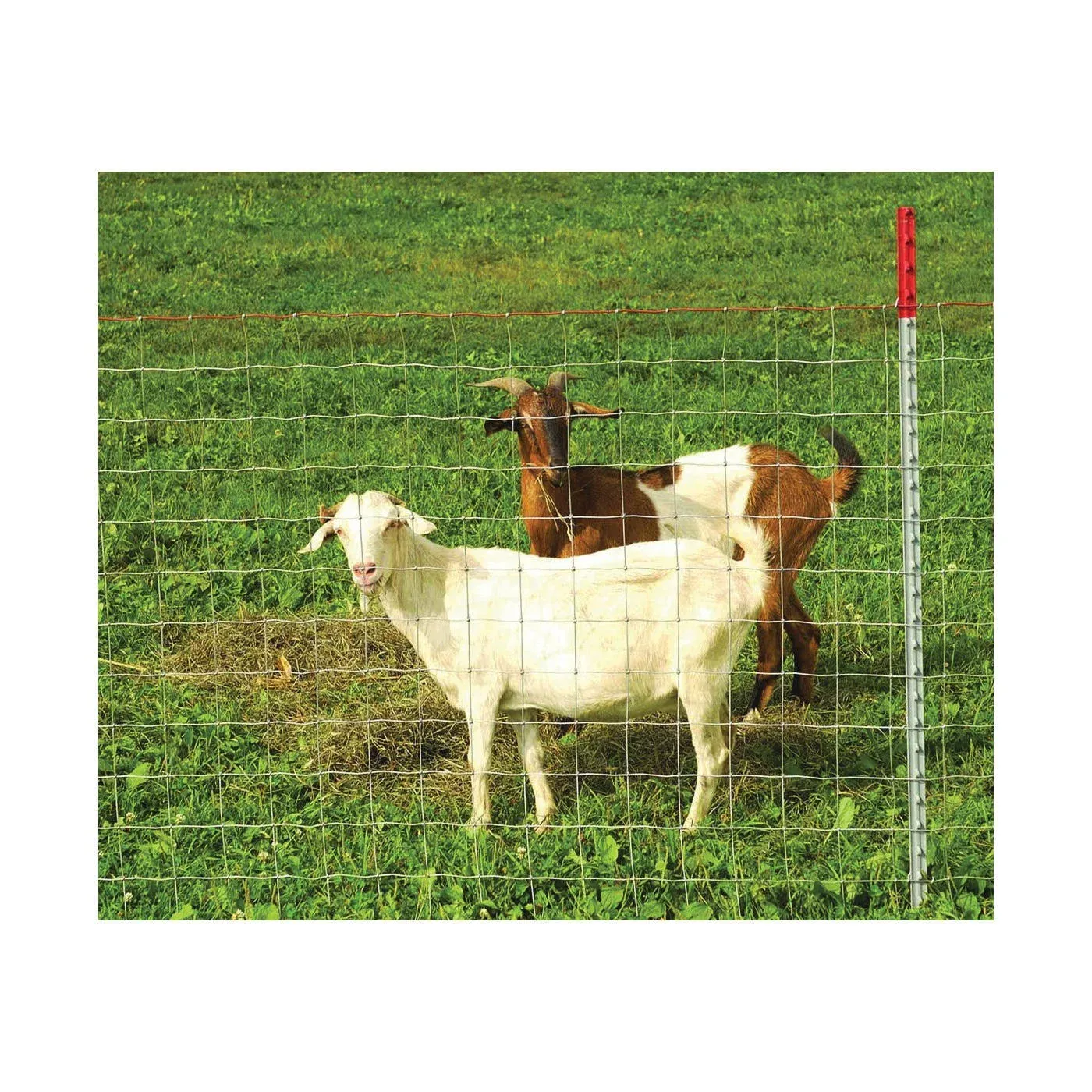 Red Brand Sheep & Goat Field Fence, 48" x 330'