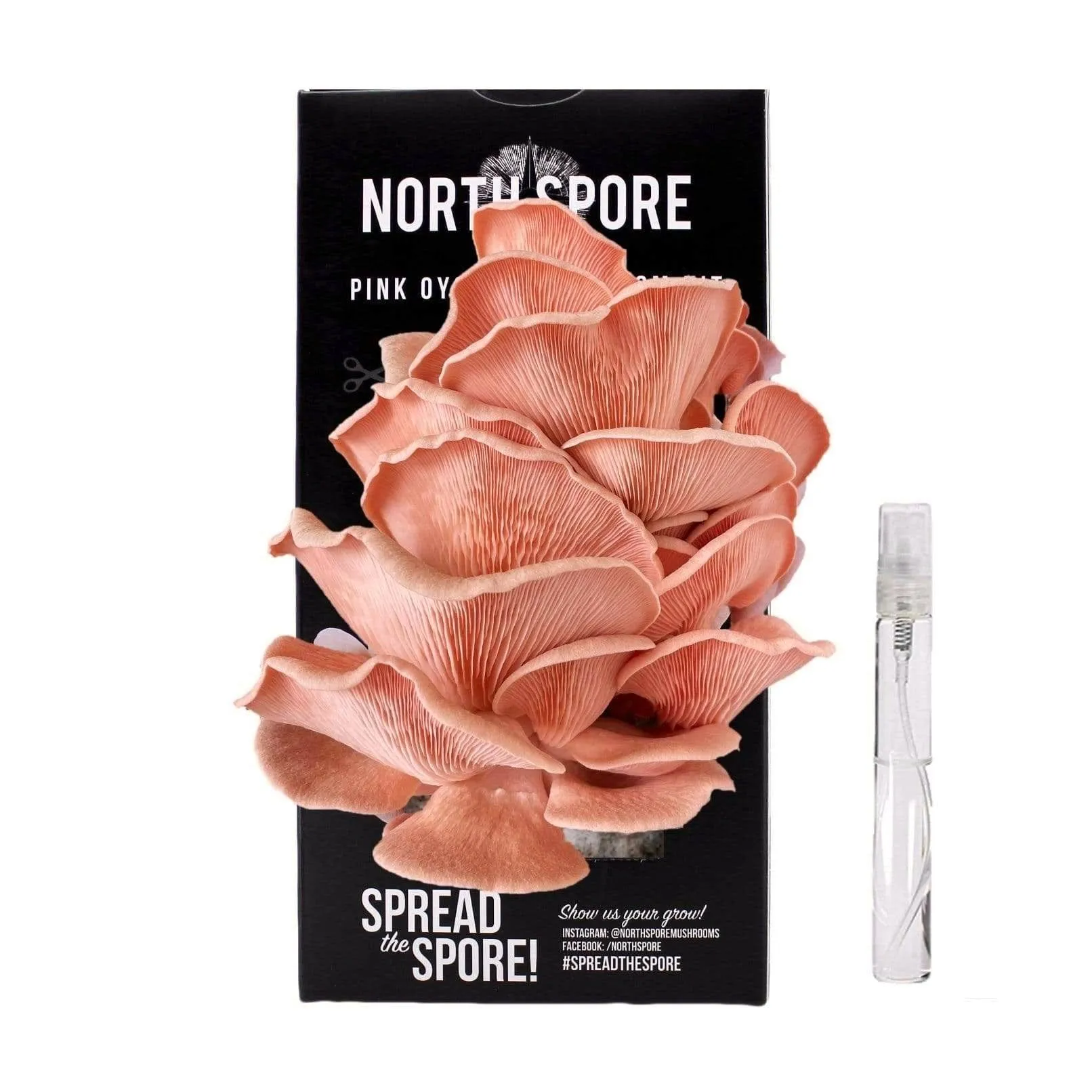 North Spore Organic Pink Oyster Mushroom Spray & Grow Kit (4 lbs) | USDA Certified Organic, Non-GMO, Beginner Friendly & Easy to Use | Grow Your Mushrooms at Home | Handmade in Maine, USA