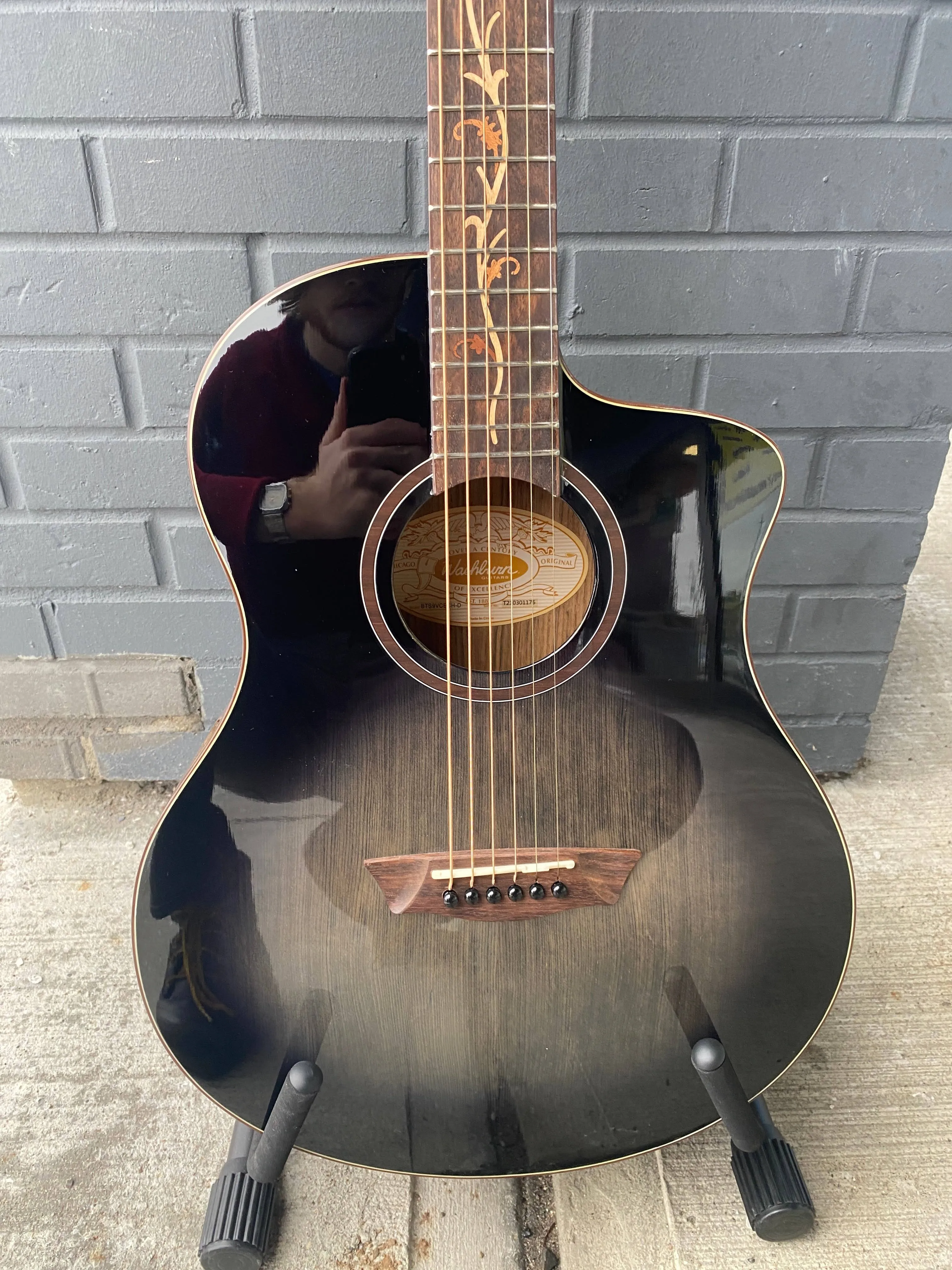 Washburn Bella Tono Acoustic Guitar