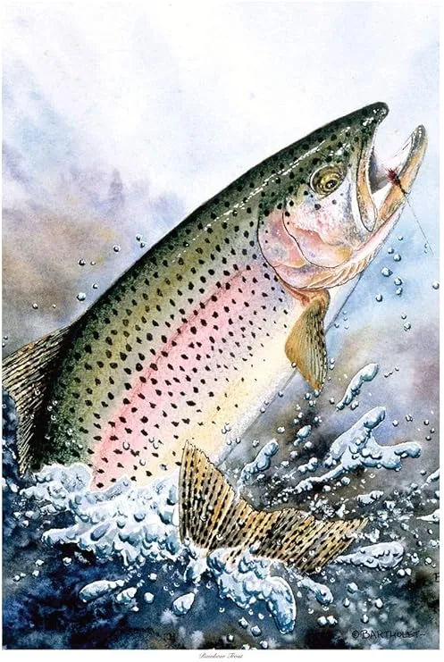 Rainbow Trout Giclee Art Print Poster by Dave Bartholet 12 inch x 18 inch Size 12 ...