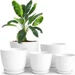 Utopia Home Plant Pots Pack of 5