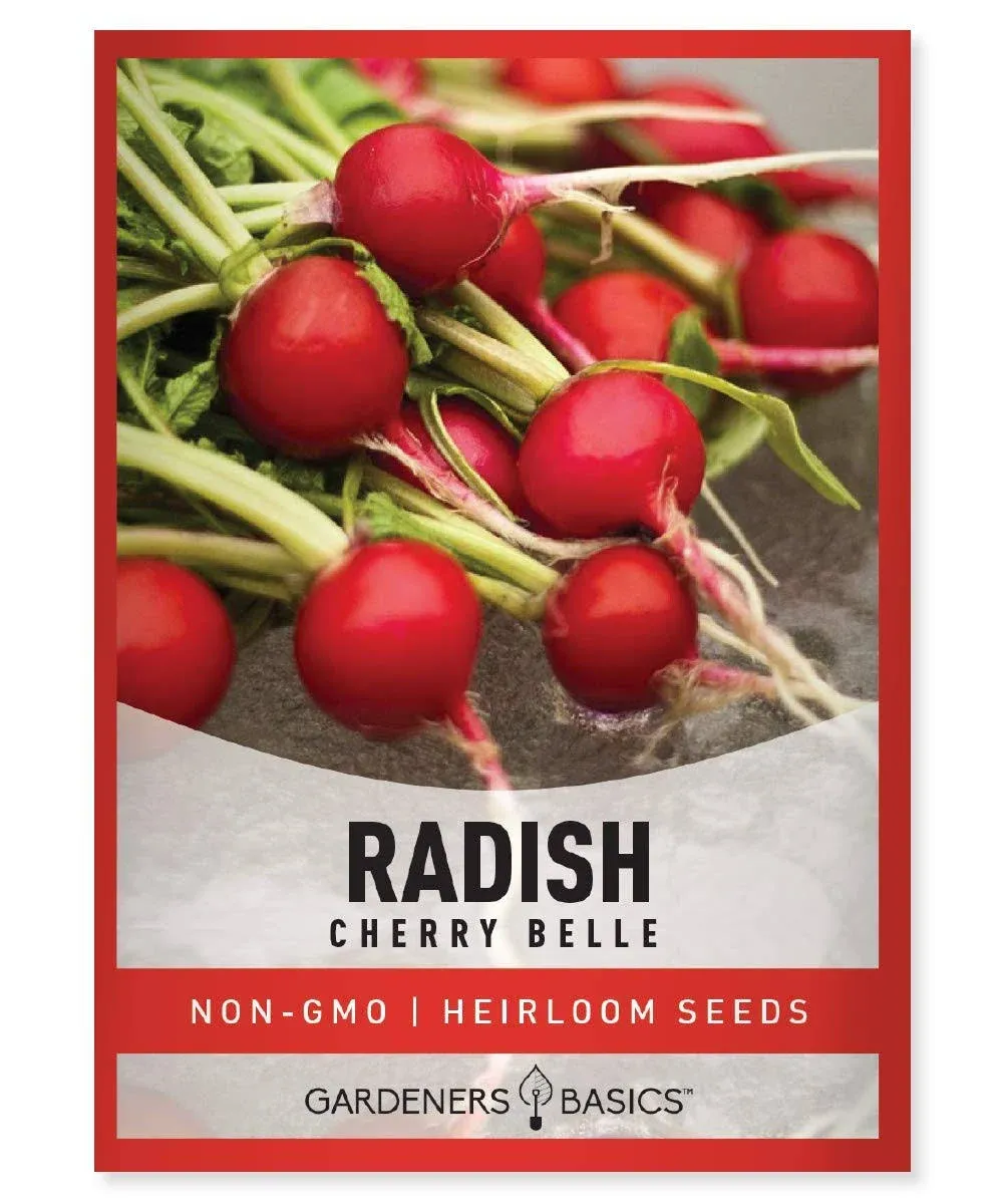 Cherry Belle Radish Seeds