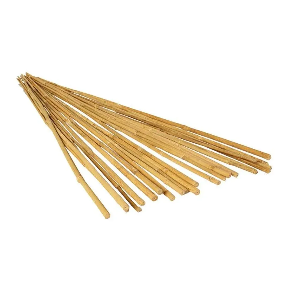 4' Bamboo Stakes, Natural, Pack of 25