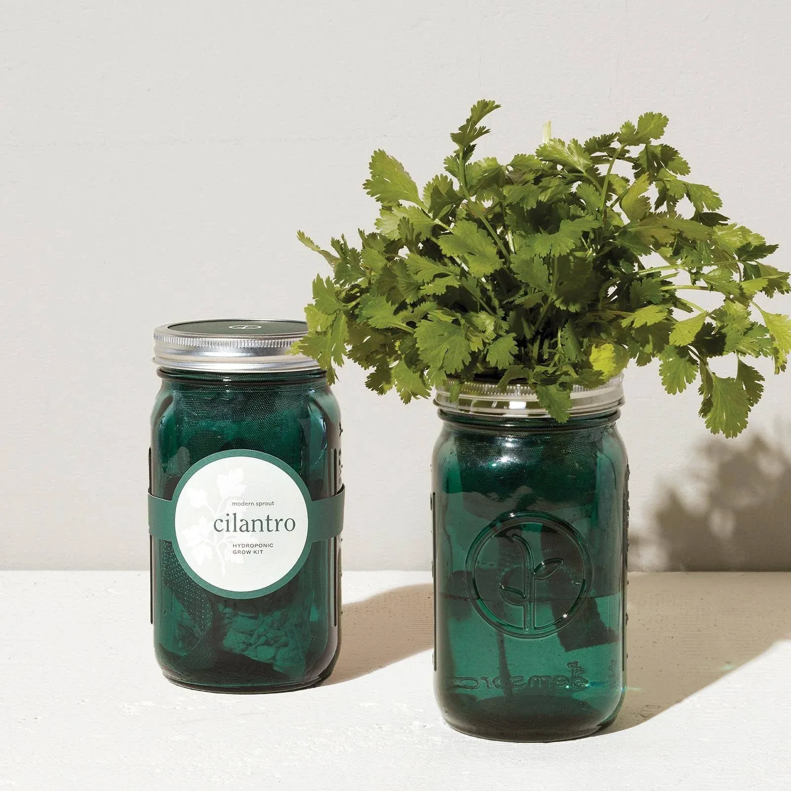 Modern Sprout Garden Jar