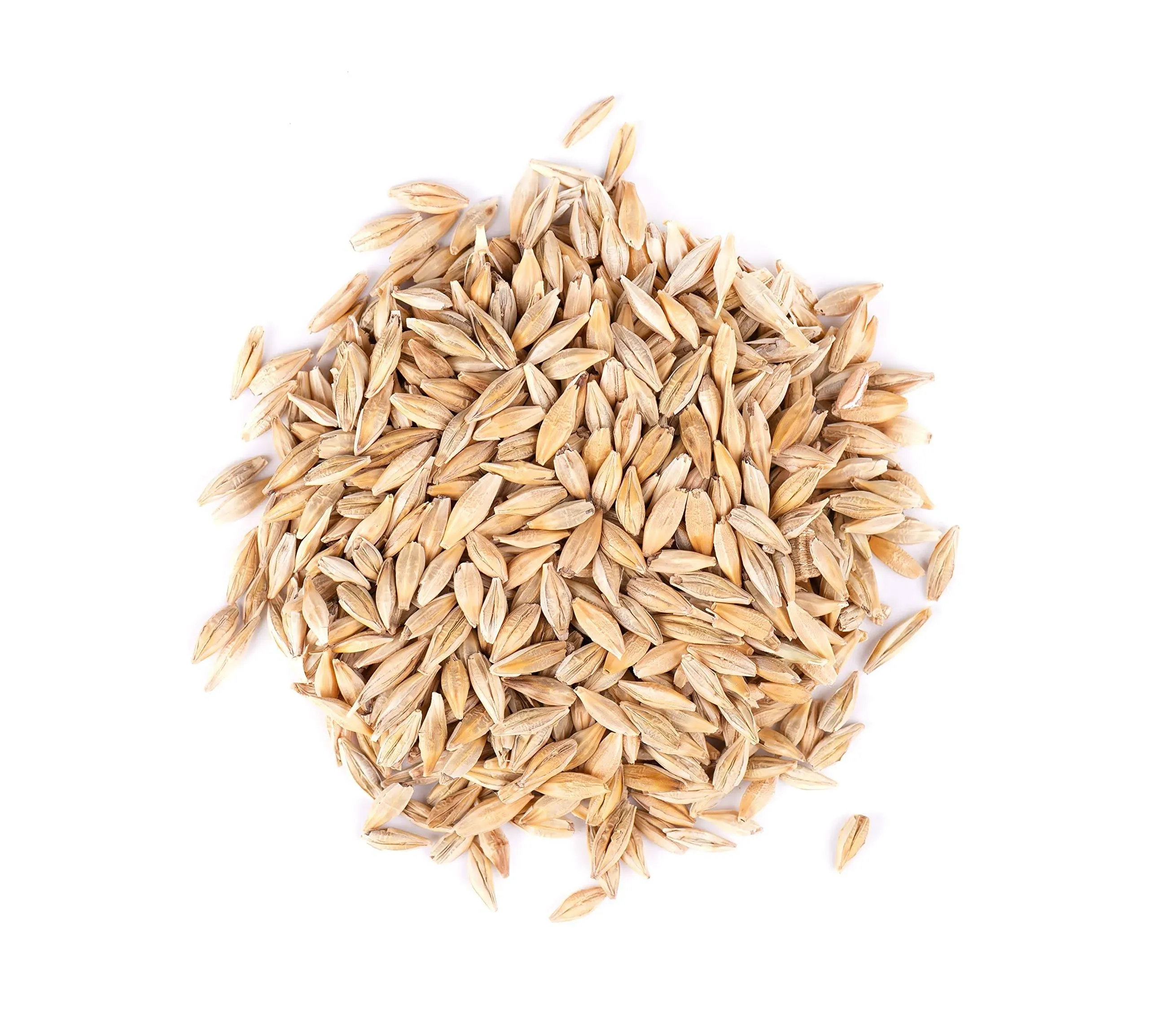 Barley Seed - Certified Organic - Non-GMO (5lb)