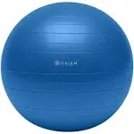 Gaiam Total Body 75cm Balance Ball Kit