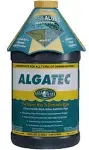 Mcgrayel Algatec 10064 Super Algaecide - 64-Ounce