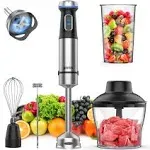 Ganiza Immersion Blender 5 in 1 Hand Blender 800W Heavy Duty Motor, 15 Speed and Turbo Mode Handheld Blender Stainless Steel Blade with 800ml Mixing